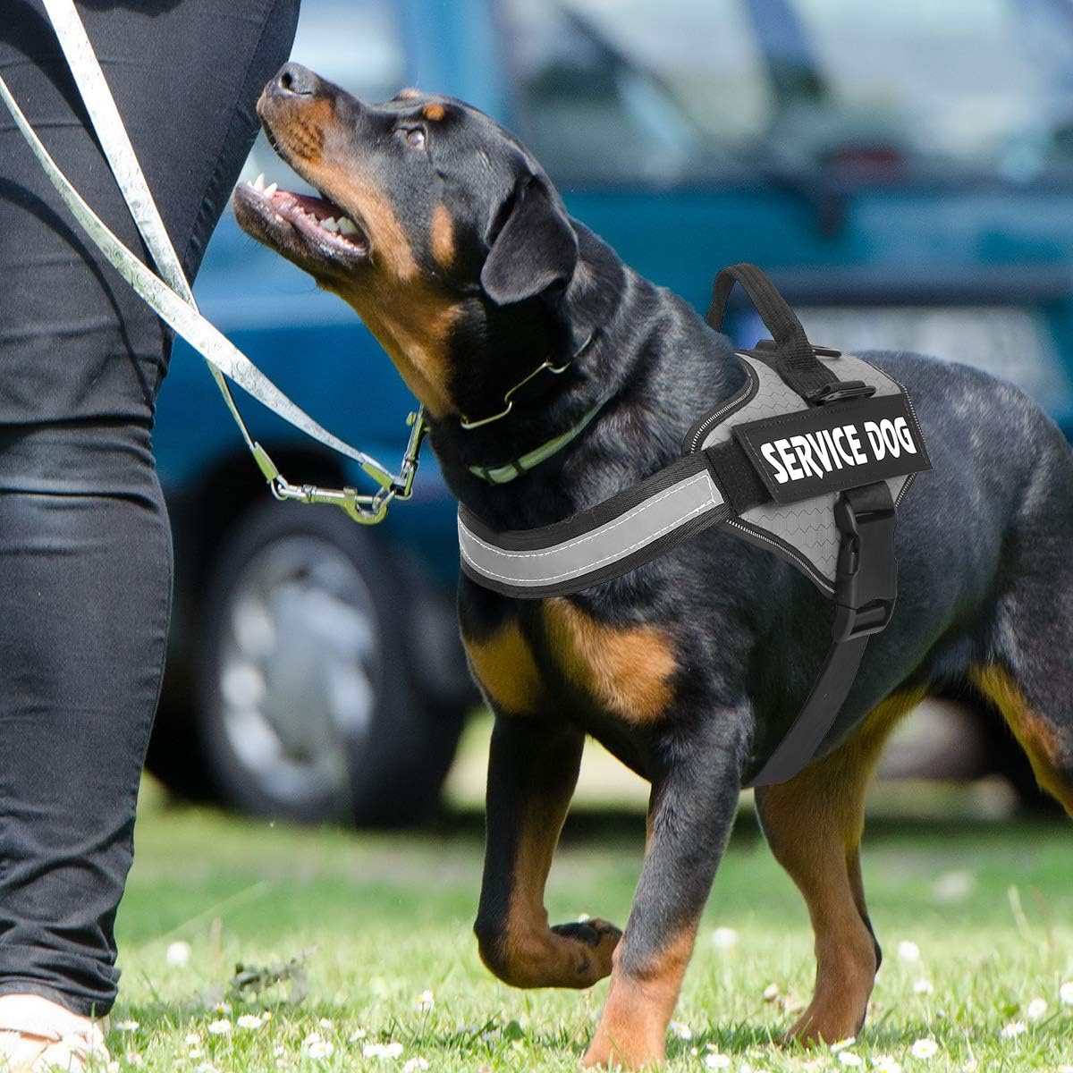 Dog Harness, No Pull Easy On and Off Pet Vest Harness, 3M Reflective Breathable & Easy Adjust Pet Halters with Nylon Handle - No More Tugging or Choking for Small Medium Large Dogs