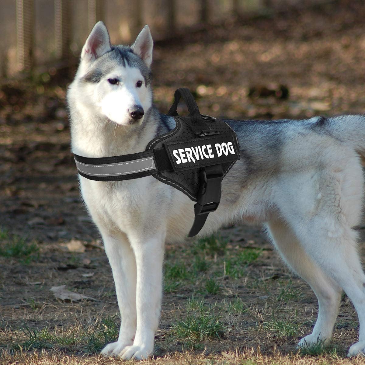 Dog Harness, No Pull Easy On and Off Pet Vest Harness, 3M Reflective Breathable & Easy Adjust Pet Halters with Nylon Handle - No More Tugging or Choking for Small Medium Large Dogs