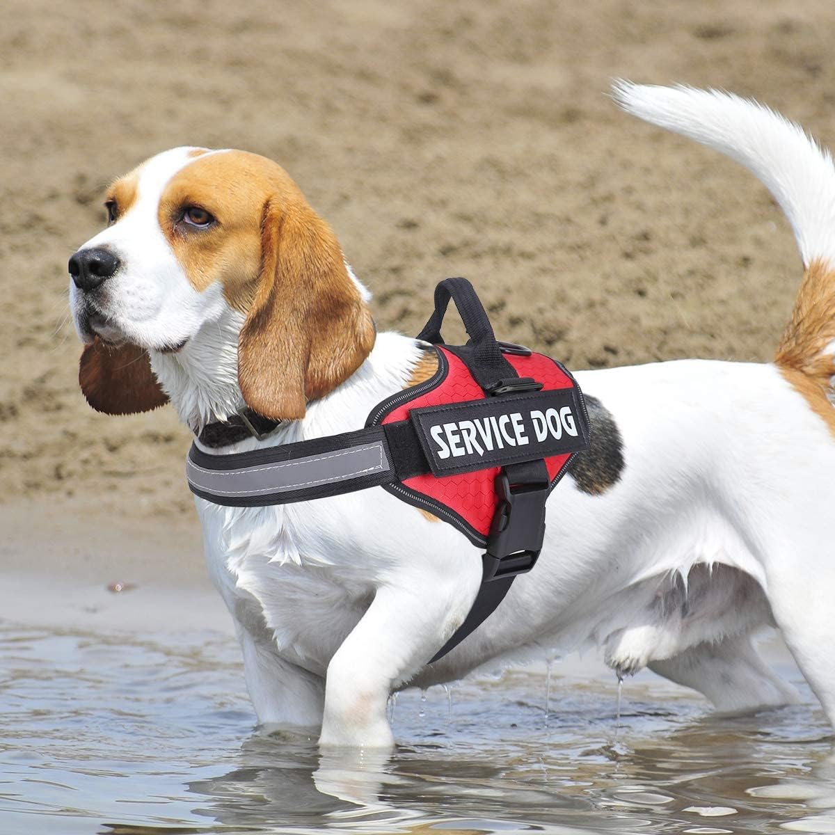 Dog Harness, No Pull Easy On and Off Pet Vest Harness, 3M Reflective Breathable & Easy Adjust Pet Halters with Nylon Handle - No More Tugging or Choking for Small Medium Large Dogs